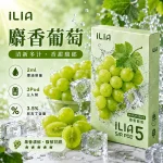 哩亞ILIA-ULTRA-5代煙彈-麝香葡萄-口味